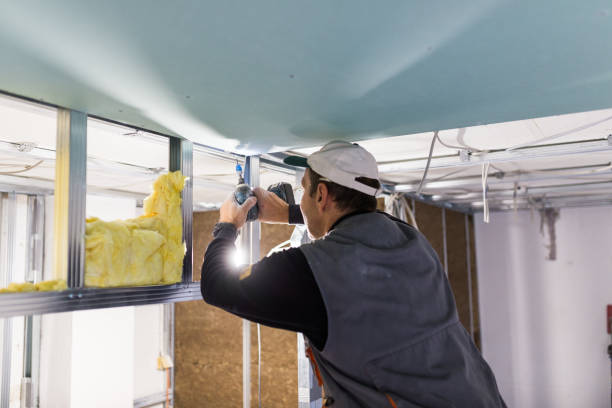 Types of Insulation We Offer in Palo Alto, CA